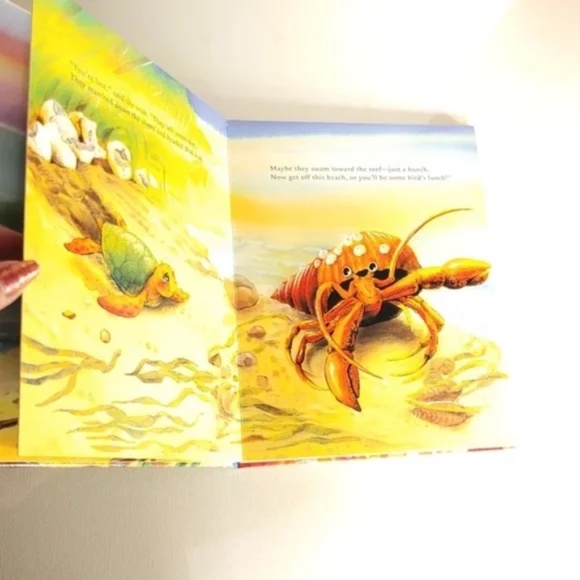 ❤️ Baby Turtles Tale Moving Picture Book - Picture 6 of 8
